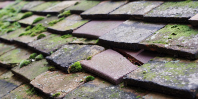 Windsor roof repair costs